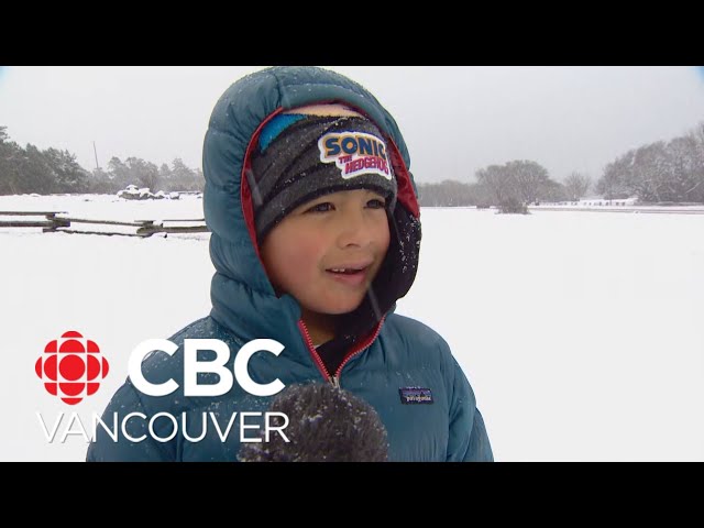 Victoria area residents enjoy the snow day