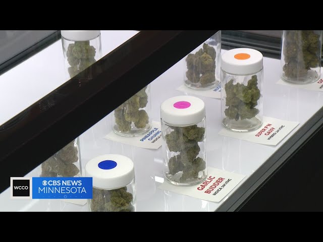 Minnesota could see high demand for cannabis dispensaries