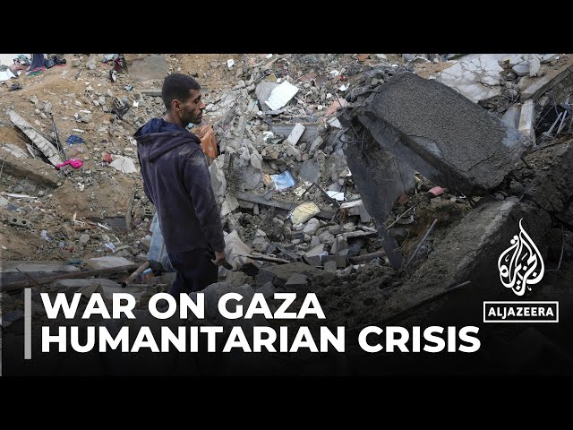 Desperation in Gaza: Palestinians face dire humanitarian crisis