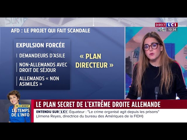 Immigration : le "plan secret" de l'extrême droite allemande fait scandale