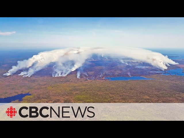 22-year-old charged over Nova Scotia's largest-ever wildfire