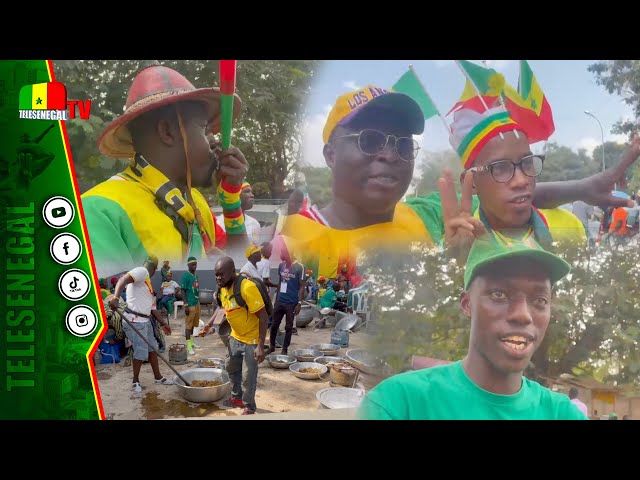 Sénégal vs Cameroun : Ambiance des supportaires à Yamoussoukro