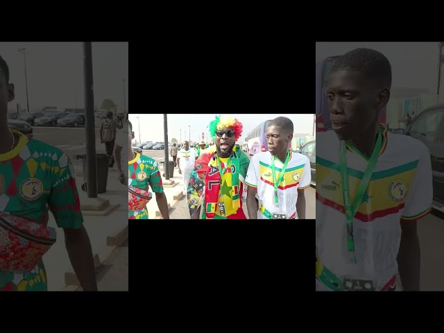 Un supporter sénégalais promet l'enfer aux Lions indomptables  #can2023 #afcon #équinoxetv