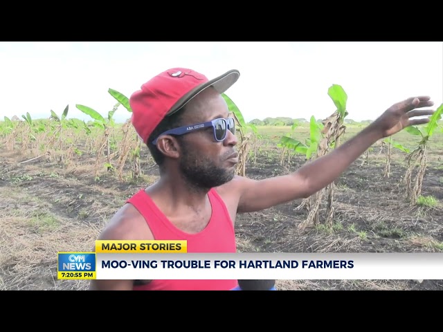 Moo-Ving Trouble for Hartland Farmers | CVM News Jan 09, 2024 | CVMTV