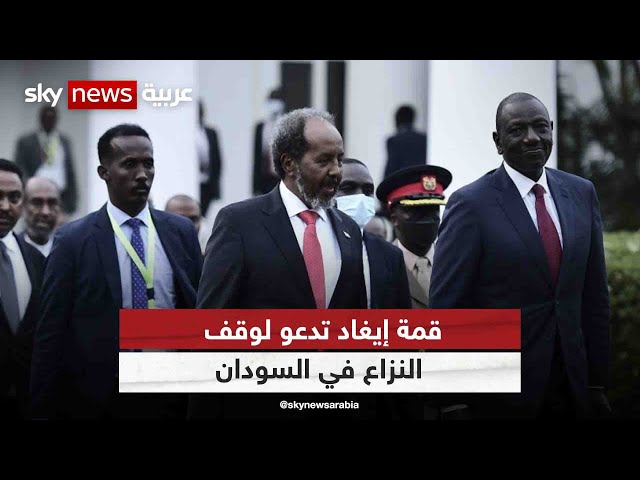 قمة إيغاد تدعو لوقف النزاع في السودان.. عضو لجنة الإعلام لـ"تقدم" علاء الدين عوض