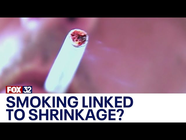 Study finds smoking can cause the brain to shrink