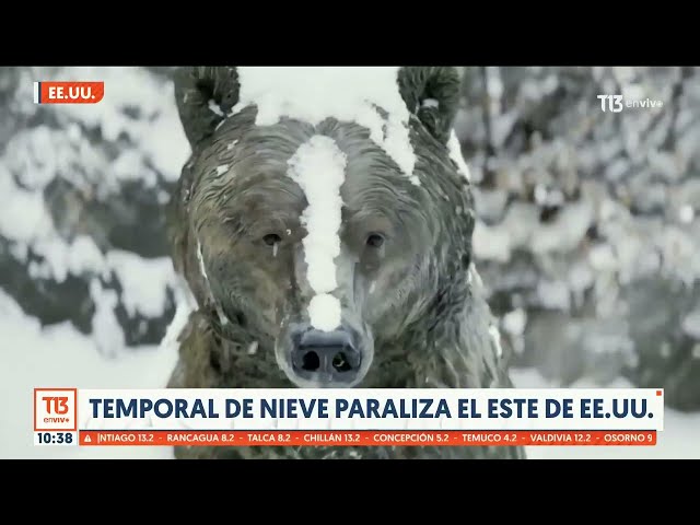 Resumen Internacional: torrenciales lluvias dejan 9 muertos en Bolivia