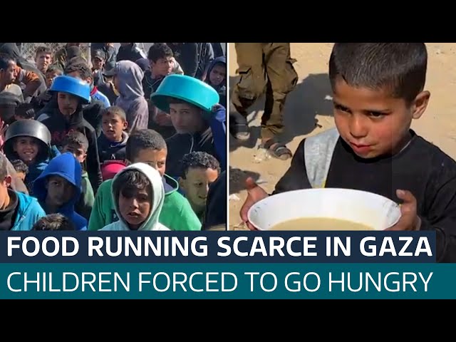 As bombs continue to fall daily on Gaza, a new threat emerges: hunger | ITV News