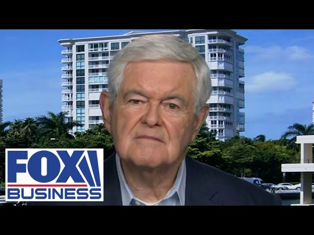 'URBAN RENAISSANCE': Newt Gingrich says Trump could dramatically rebuild America