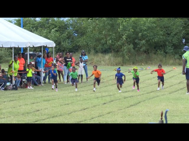 Green House Dragons champions at Good Shepherd Primary