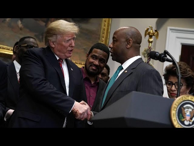 Sen. Tim Scott to endorse Trump in blow to Haley campaign