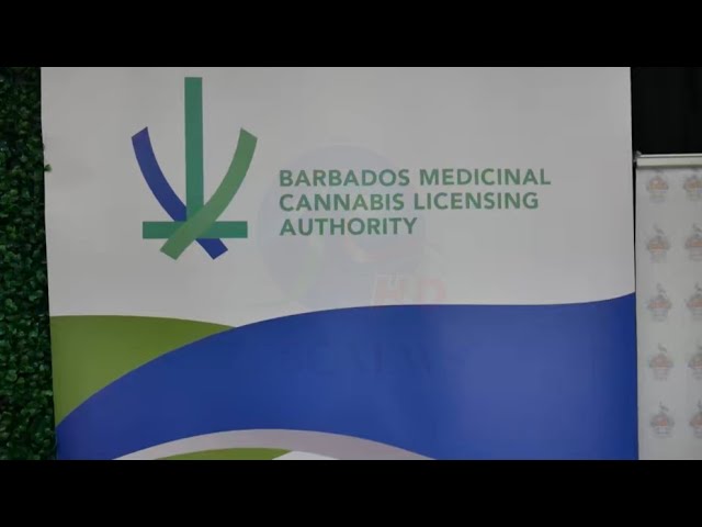 UWI Cave Hill issued key medicinal cannabis licence