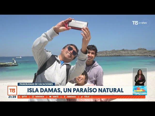 Isla Damas: avistamiento de ballenas en vacaciones