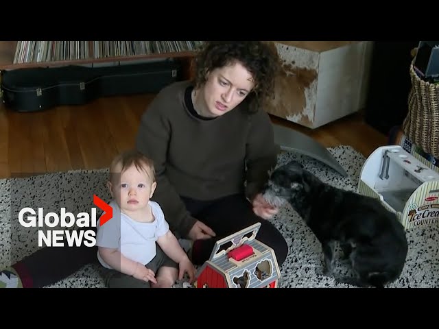 Impact inflation, living costs have on birth rates and Canadians on parental leave