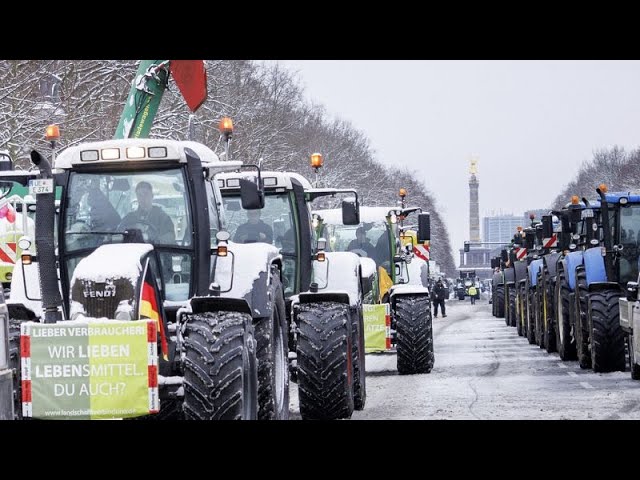 NO COMMENT | Los agricultores europeos protestan contra las medidas medioambientales de la UE