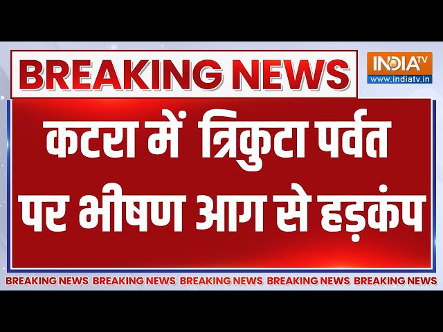 Jammu-Kashmir News: कटरा में त्रिकुटा पर्वत के जंगलों में श्री वैष्णो देवी माता भवन के पास लगी आग