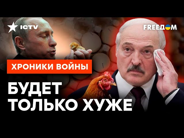 Лукашенко, ОТДАЙ ЯЙЦА! Путин ПРИКАЗАЛ БЕЛАРУСИ делиться ЕДОЙ