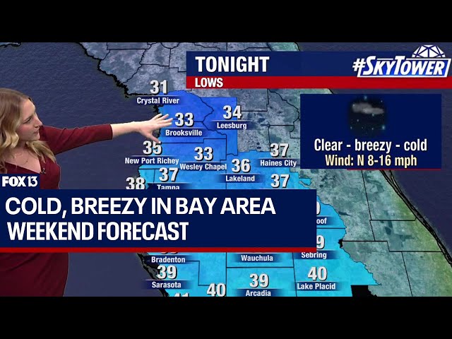 Cold, breezy in Tampa Bay Area | Jan. 20, 2024