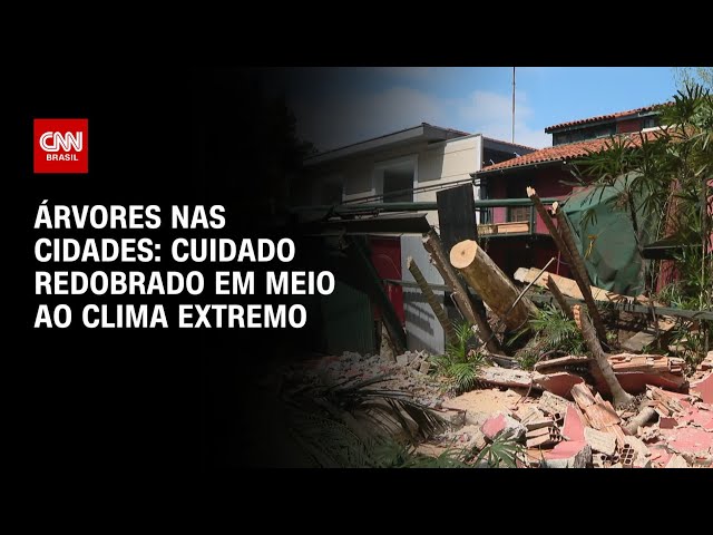 Cidades precisam redobrar cuidados com árvores, avaliam especialistas | CNN PRIME TIME