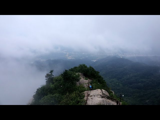 Live: Enjoy the sea of clouds at Jigong Mountain in Henan Province