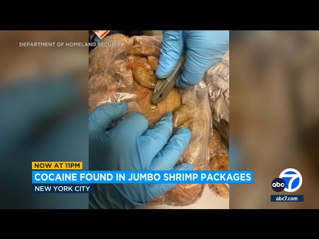 ⁣Man arrested for allegedly smuggling cocaine in bags of jumbo shrimp in New York