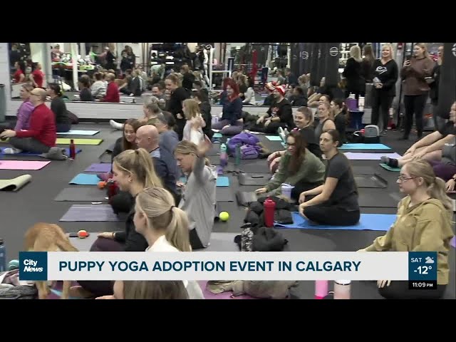 Puppy Yoga adoption event in Calgary.