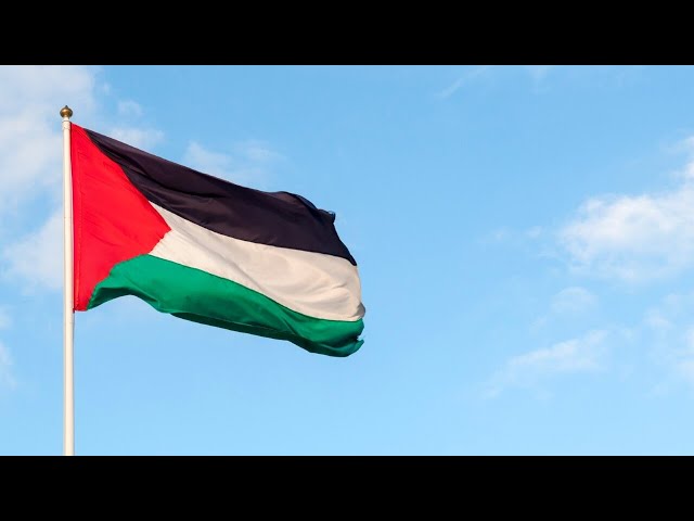 Pro-Palestinian protestors gather at Victoria’s State Library