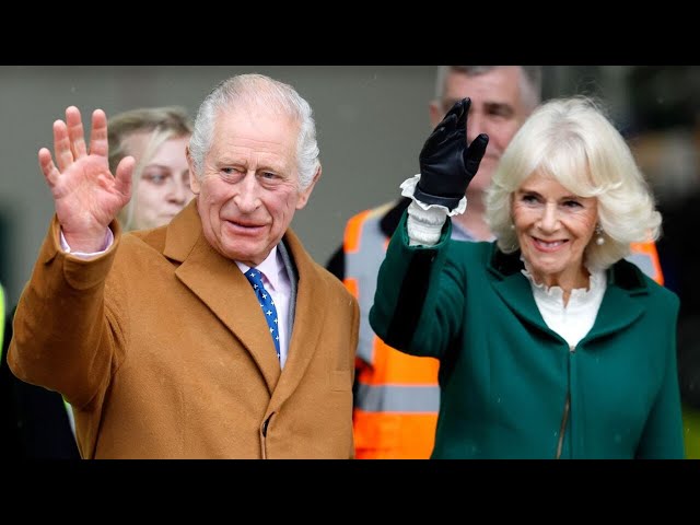 ‘Slimmed-down’ British Royal Family raises concerns over faculty in unforeseen situations