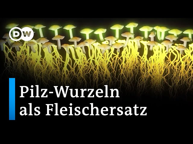 Vegetarische Alternative: Myzel auf dem Speisezettel | DW Nachrichten