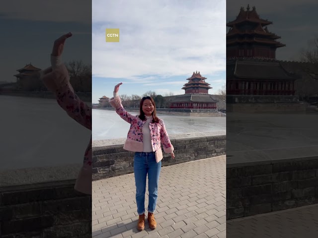 CGTN reporter joins Loong Year Loong Dance challenge in Beijing