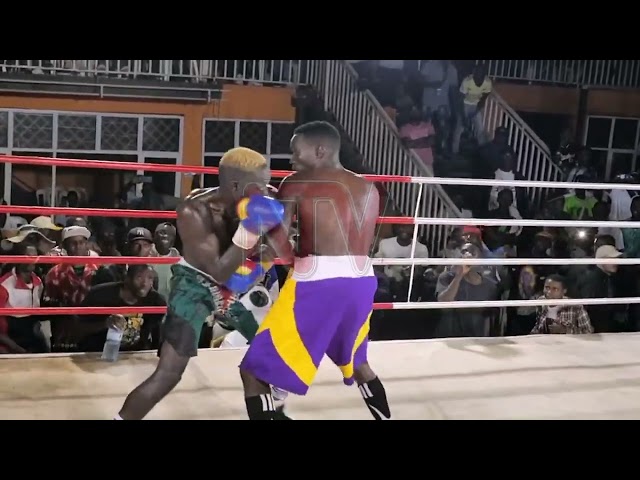 Sebyala knocks out Majid, Daku claims Super Lightweight Title in Boxing highlights