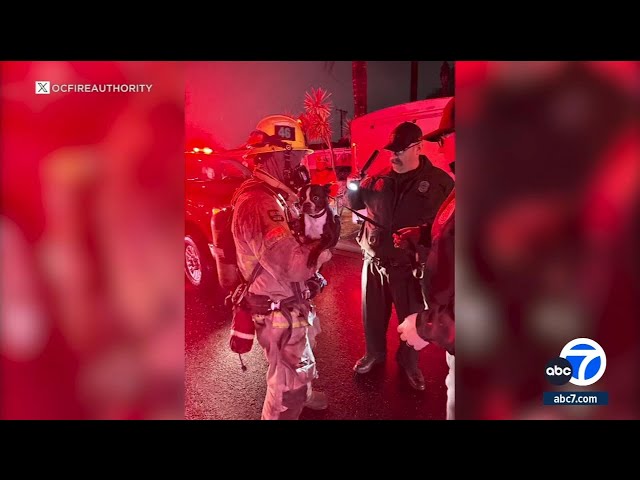 Person hospitalized, dog rescued after Garden Grove house fire