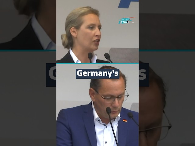 Who are Germany’s AfD and why have they been called ‘Nazi’? #itvnews #germany #deutschland #afd