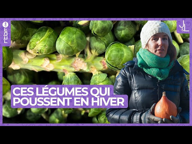 Potager : ces légumes qui poussent même en hiver ! | Jardins et Loisirs