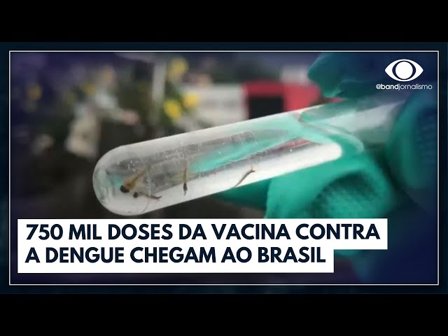 750 mil doses da vacina contra a dengue chegam ao Brasil