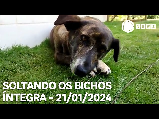 Soltando os Bichos - 21/01/2024