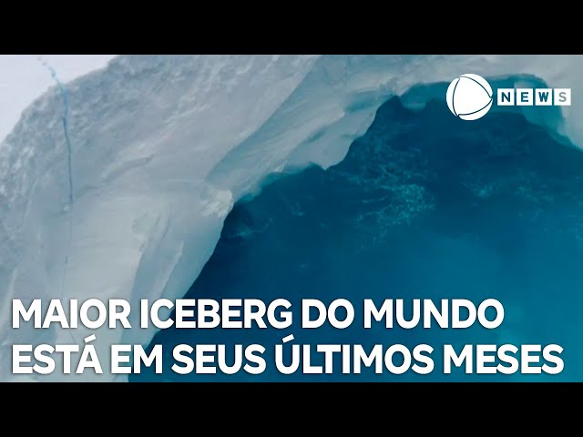 ⁣Maior iceberg do mundo pode estar nos últimos meses