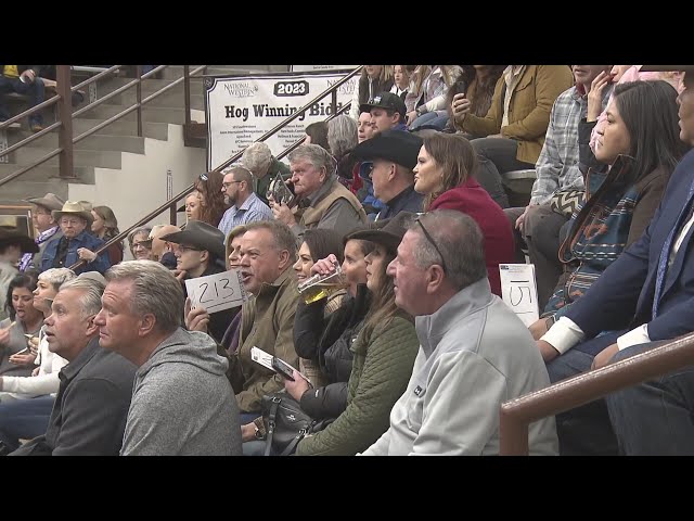 Despite frigid temps, organizers content about attendance at this year's National Western Stock