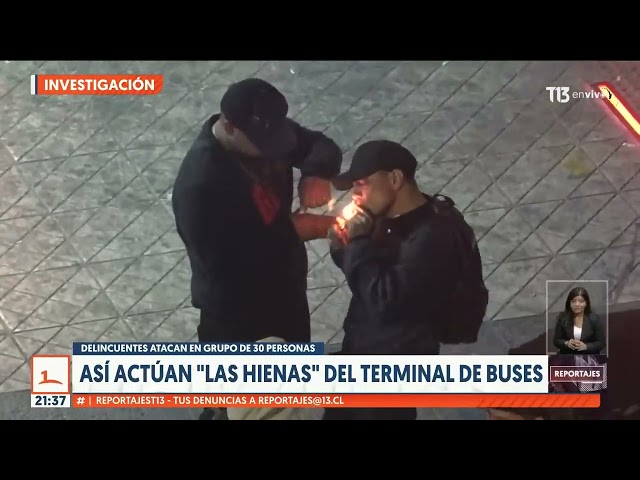 Hienas al ataque: Los ladrones del terminal