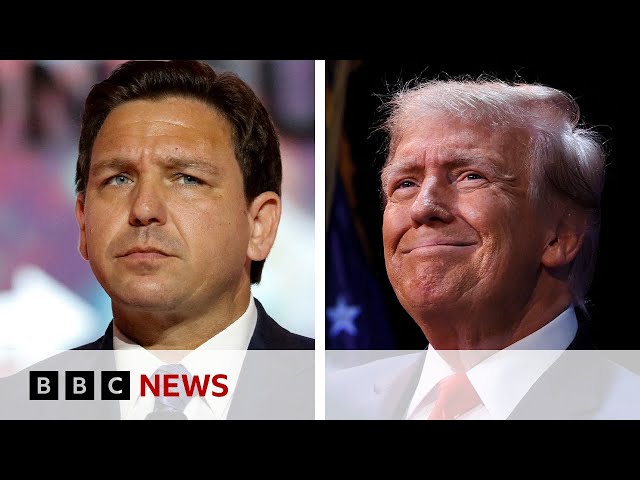 Why did Ron DeSantis quit US presidential race? - BBC News