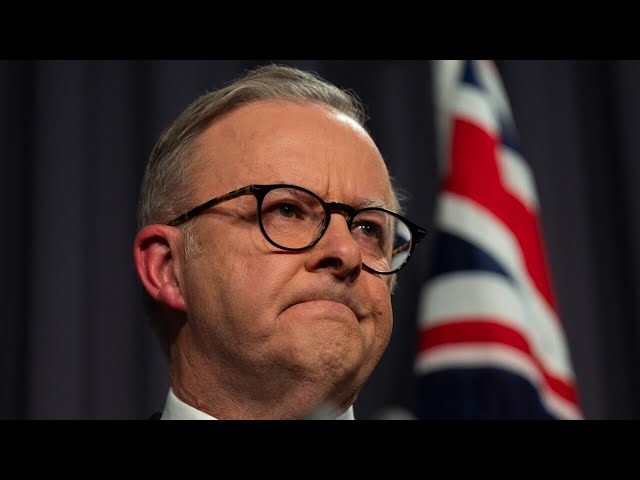 Polling shows Anthony Albanese ‘out of favour with voters’