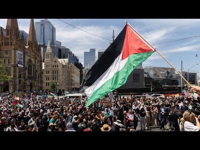 ‘Death, taxes, and a pro-Palestinian rally’: Protests costing ‘$223,000’ in police wages