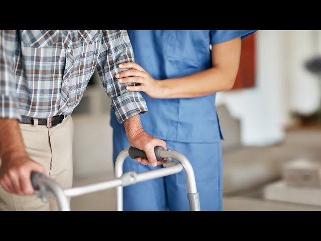 ‘Another Labor fail’: Aged care visa scheme sees ‘155 people’ take the job from overseas