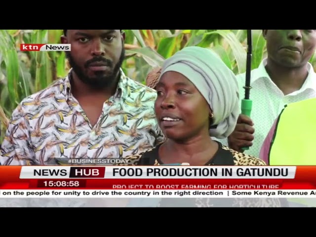 Harvesting Prosperity: Kiambu's Project Enhances Food Security and Horticulture Farming in Gatu