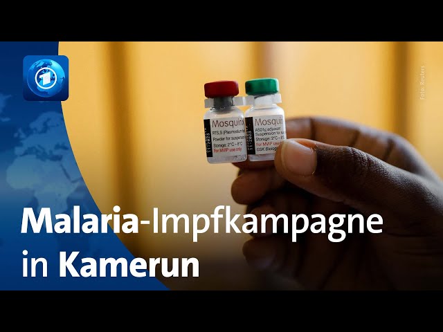 Kamerun startet weltweit erste Impfkampagne gegen Malaria