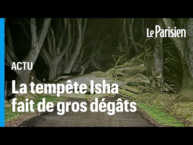 Tempête Isha : des vents à 160 km/h secouent le nord-ouest de l'Europe, un mort en Ecosse