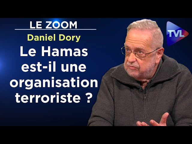 Terroriste, résistant : la vérité sur le Hamas - Le Zoom - Daniel Dory - TVL