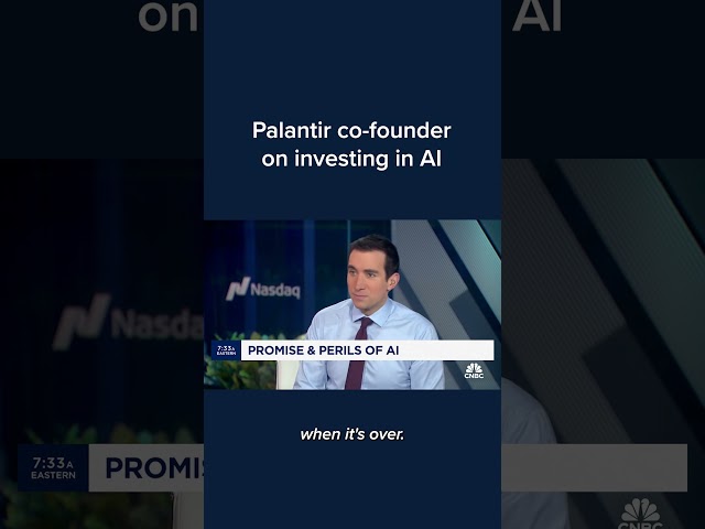 Palantir co-founder on investing in AI #Shorts