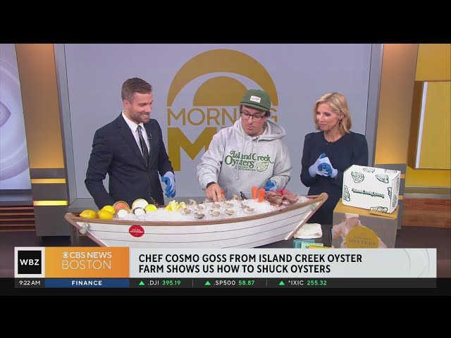 Chef Cosmo Goss from Island Creek Oyster Farm shows us how to shuck oysters