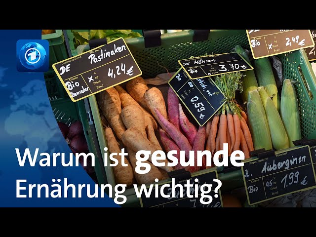 ⁣Warum gesunde Ernährung wichtig ist